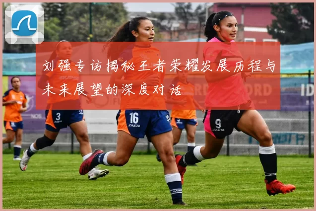 刘强专访揭秘王者荣耀发展历程与未来展望的深度对话