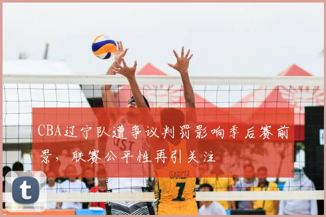 CBA辽宁队遭争议判罚影响季后赛前景，联赛公平性再引关注