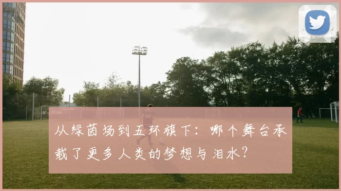 从绿茵场到五环旗下:哪个舞台承载了更多人类的梦想与泪水?
