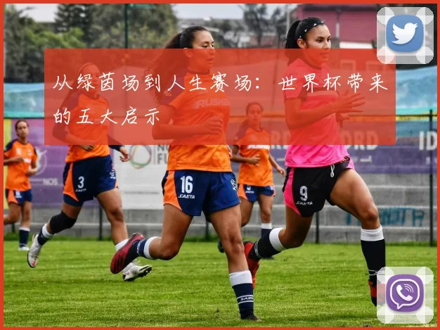 从绿茵场到人生赛场:世界杯带来的五大启示