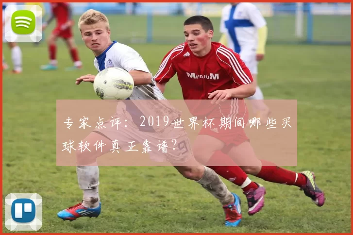 专家点评：2019世界杯期间哪些买球软件真正靠谱？