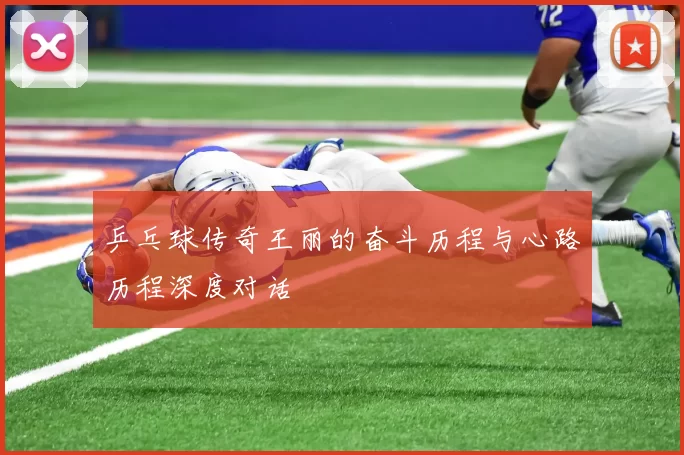 乒乓球传奇王丽的奋斗历程与心路历程深度对话