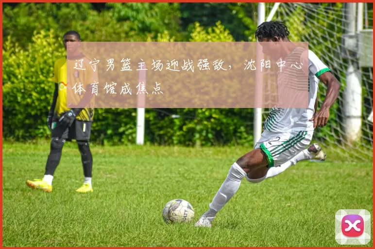 辽宁男篮主场迎战强敌,沈阳中心体育馆成焦点
