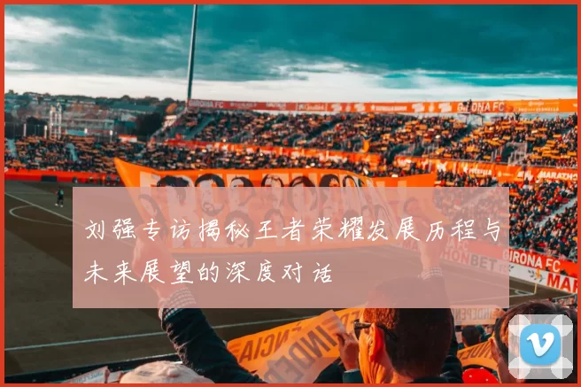 刘强专访揭秘王者荣耀发展历程与未来展望的深度对话